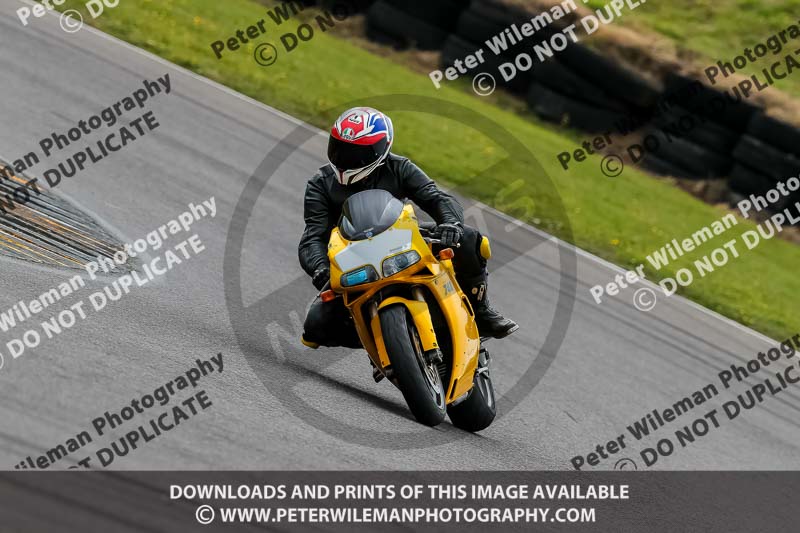 PJ Motorsport 2019;anglesey no limits trackday;anglesey photographs;anglesey trackday photographs;enduro digital images;event digital images;eventdigitalimages;no limits trackdays;peter wileman photography;racing digital images;trac mon;trackday digital images;trackday photos;ty croes